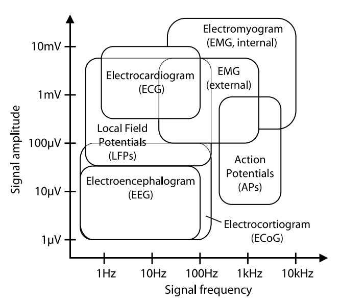 BMIpotent