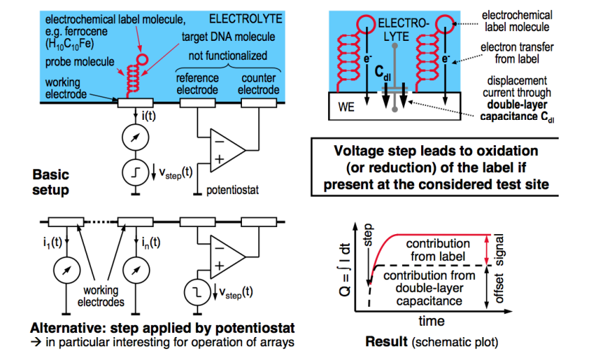 Electrochemical Detection