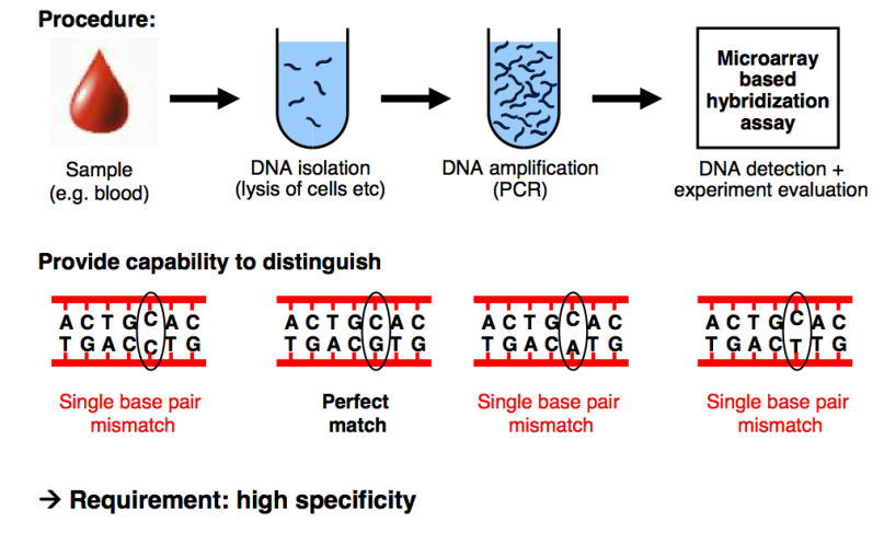 SNP Detection Diagram