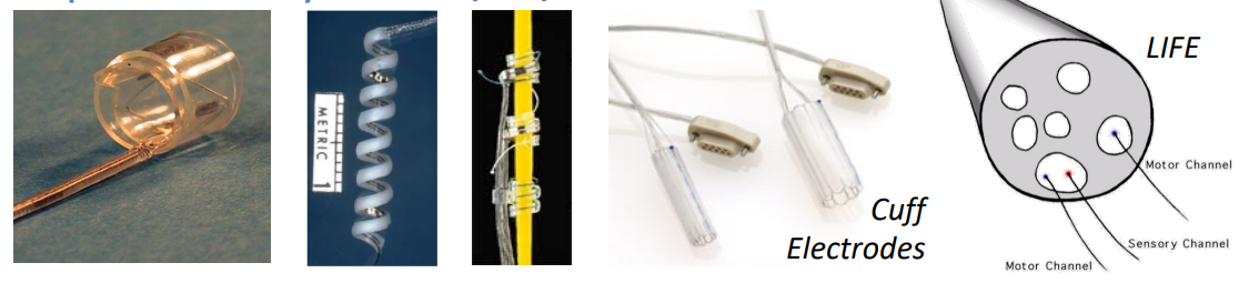 Cuff/LIFE/TIME Electrodes