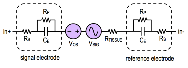 Equivalent Circuit Model for Electrode Tissue Interface