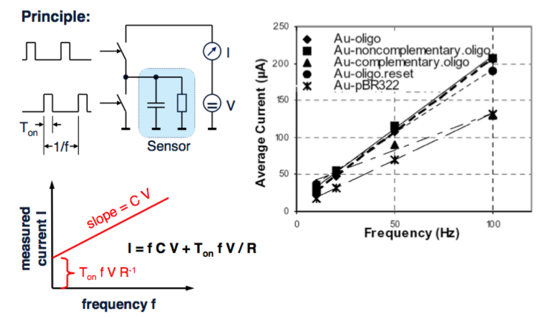 Example DNA Impedance