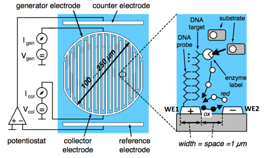Four Electrode System