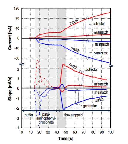 Four Electrode System Output