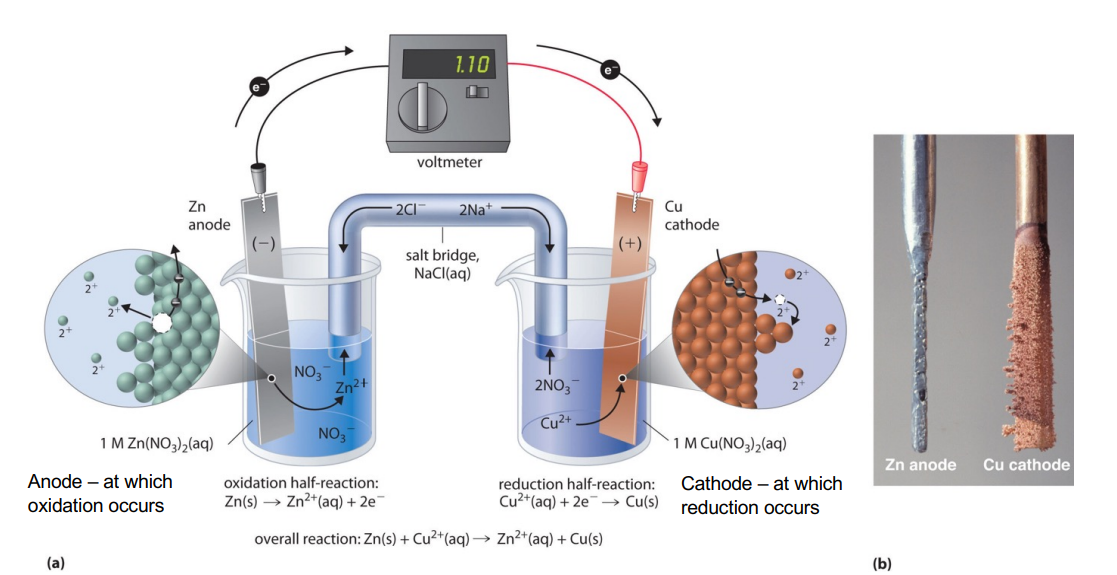 Galvanic Cell