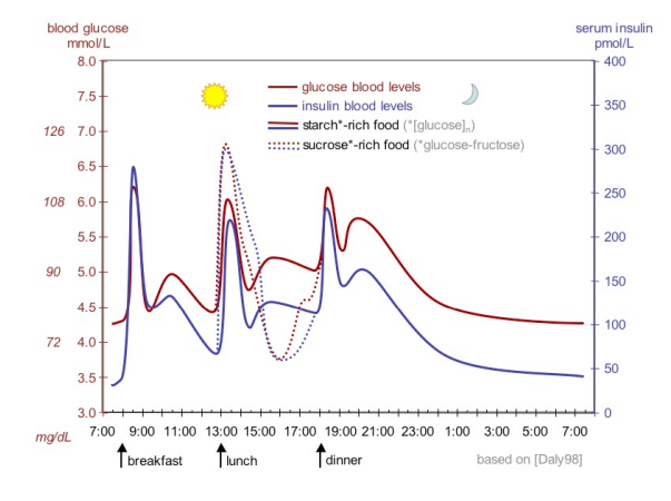 Glucose Profile Graph