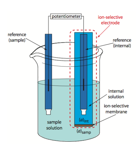 Ion Selective Electrode