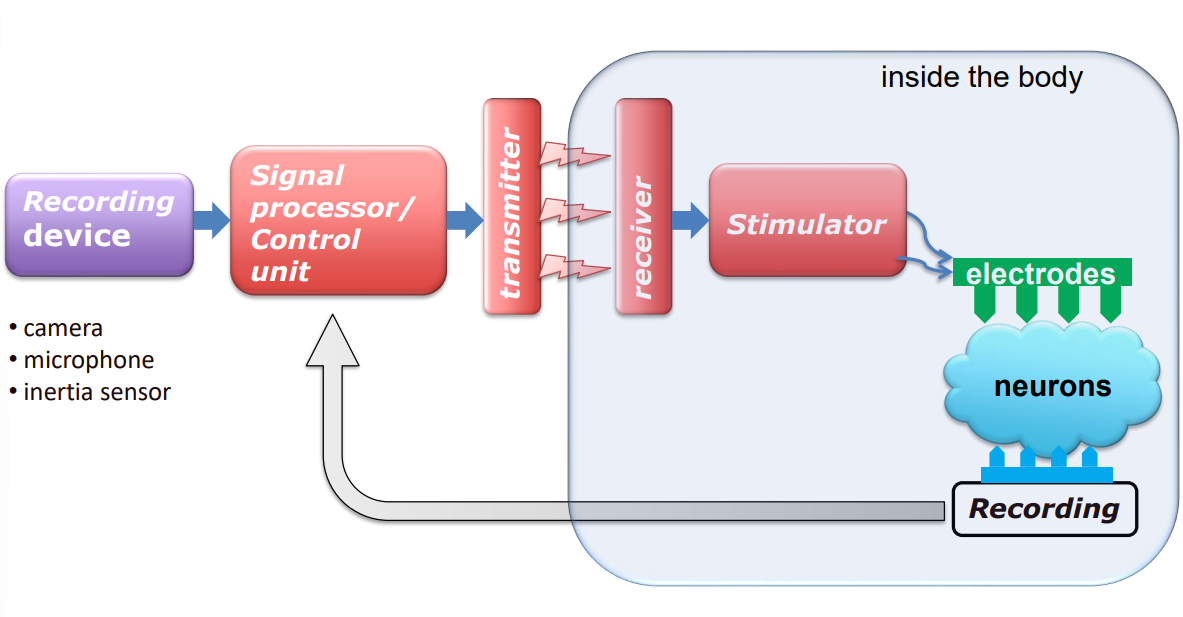 Neural Implant Block Diagram