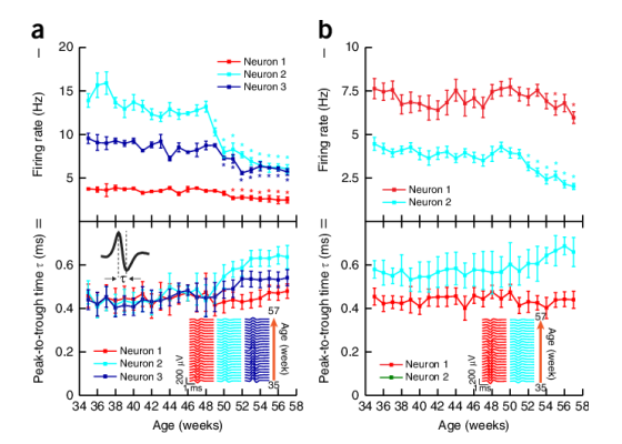 neuronuncertainty