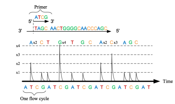 Pyrosequencing