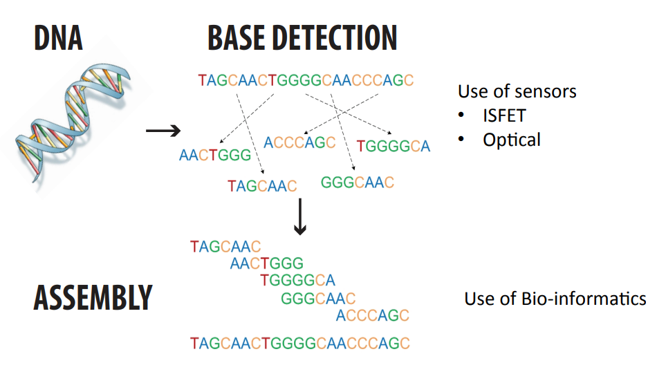 sequencing assembly algorithm