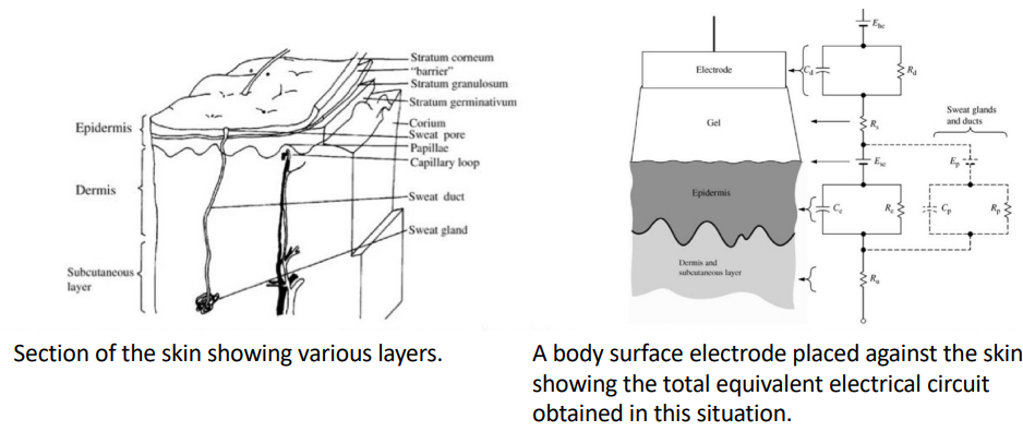 Skin Approximation Circuit