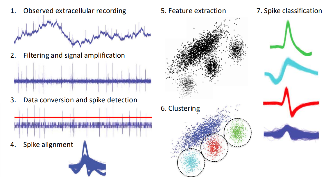 spikesort