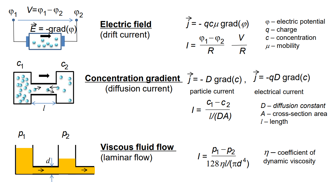 Transport Processes